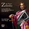 Download track Te Deum, ZWV145: Tu Ad Liberandum