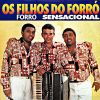 Download track Forrozeiro Atraente