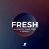 Download track Fresh (Frank Caro & Alemany Remix)