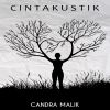 Download track Cinta Yang Tenang