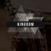 Download track Kingdom