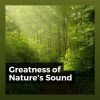 Download track Encouraging Sound Of The Nature