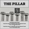 Download track The Pillar (Afro Tech Instrumental Mix)