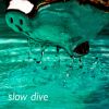 Download track Slow Dive