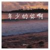 Download track 年少的你啊 (伴奏)