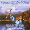 Download track Voices Of The Wind