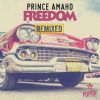 Download track Freedom (Tomtrax Remix)