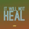 Download track It Will Not Heal (Instrumental)