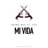 Download track Mi Vida (SFG)