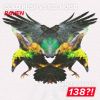 Download track Raven (Extended Mix)