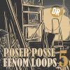 Download track Fenom Loop 99