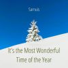 Download track It's The Most Wonderful Time Of The Year (Slowed Remix)