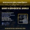 Download track What A Wonderful World (Instrumental Version)