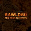 Download track Rise From The Grave (Extended)