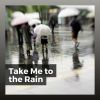 Download track Healing Rain For Sleep, Pt. 3