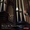 Download track Organ Sonata In C Minor 