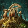 Download track Savant On Mushrooms