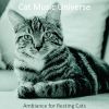 Download track Sumptuous Solo Piano Jazz - Vibe For Cute Cats