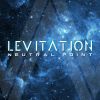 Download track Levitation