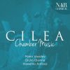 Download track Cello Sonata In D Major, Op. 38 III. Allegro Animato