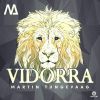 Download track Vidorra (Original Mix)