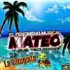 Download track La Tortuguita