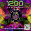 Download track Changa (Flute Intro) (Original Mix)