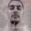 Download track Beija-Flor Urbano