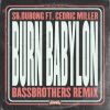 Download track Burn Babylon (BassBrothers Remix)