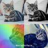 Download track Ambience (Relaxing Cats)