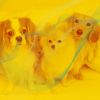 Download track Sublime Music For Calming Puppies