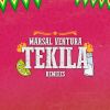 Download track TEKILA (G4BBA REMIX)