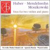Download track Suite For Two Violins And Piano In G Minor, Op. 71: IV. Finale. Sostenuto, Più Allegro (I. Allegro Energico)