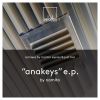 Download track Anakeys (Martin Eyerer Remix)