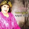 Download track Farho Yalahbab