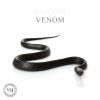 Download track Venom (Original Mix)