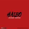 Download track Haibo