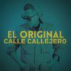 Download track Calle Callejero