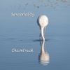 Download track Sensoriality