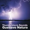 Download track Forest Distant Thunderstorm