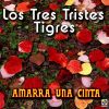 Download track Amarra Un Liston Amarillo Al Viejo