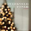 Download track Juleol Jazz Brygges