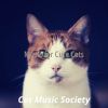 Download track Stylish Music For Cute Cats