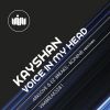 Download track Voice In My Head (Ronin8 Remix)