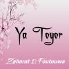 Download track Ya Toyor