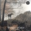 Download track Magic Place