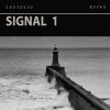 Download track Signal 1. VI