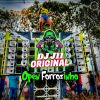 Download track Forrózinho Diferenciado