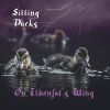 Download track Sitting Ducks