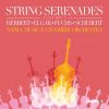 Download track Elgar: Serenade For String Orchestra In E Minor, Op. 20: I. Allegro Piacevole